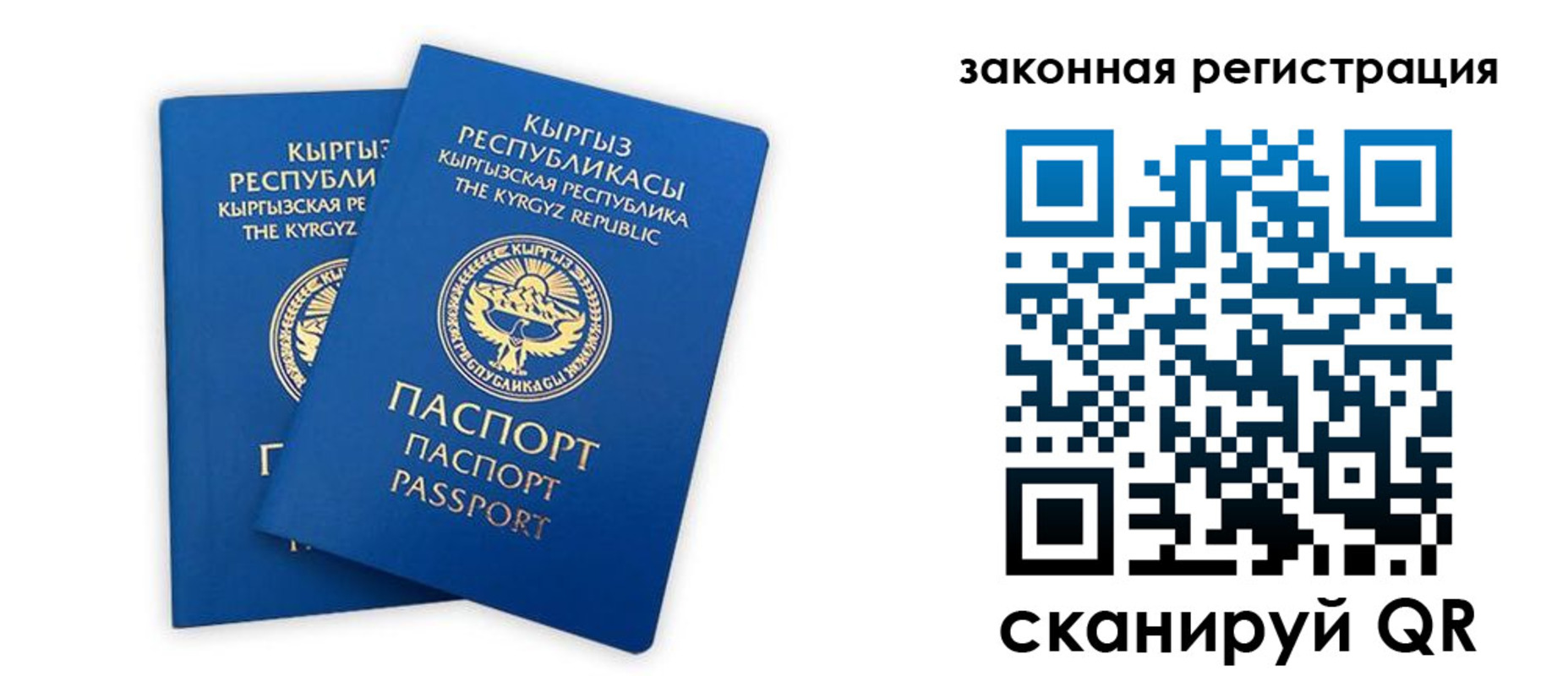 временная регистрация госуслуги в Бердске